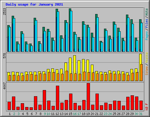 Daily usage for January 2021