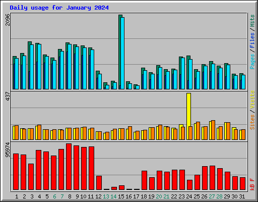 Daily usage for January 2024