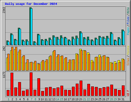 Daily usage for December 2024