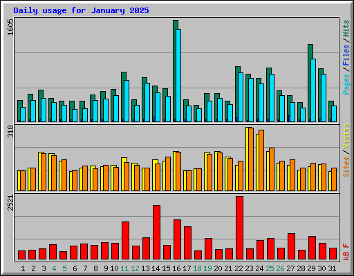 Daily usage for January 2025