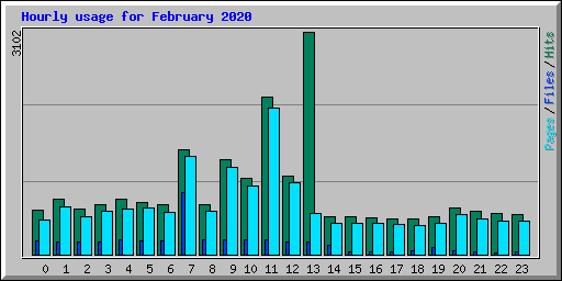 Hourly usage for February 2020