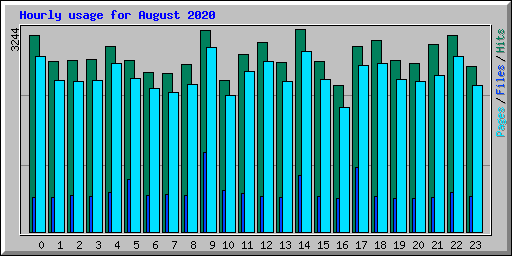 Hourly usage for August 2020