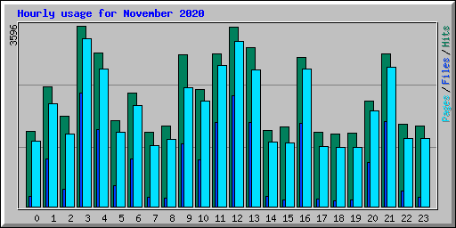 Hourly usage for November 2020