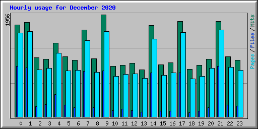 Hourly usage for December 2020