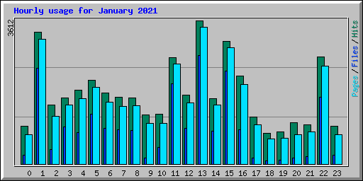 Hourly usage for January 2021