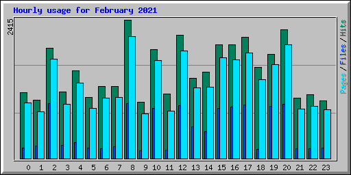 Hourly usage for February 2021