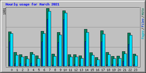 Hourly usage for March 2021