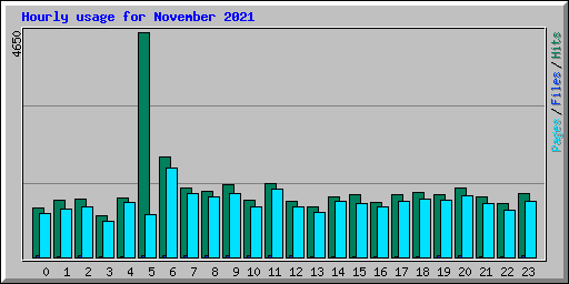Hourly usage for November 2021