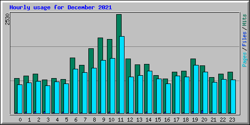 Hourly usage for December 2021