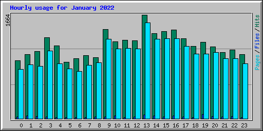 Hourly usage for January 2022