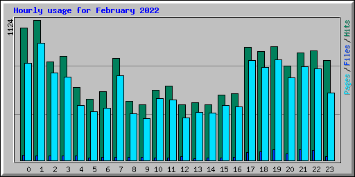 Hourly usage for February 2022