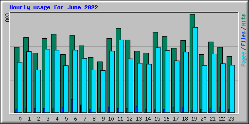 Hourly usage for June 2022