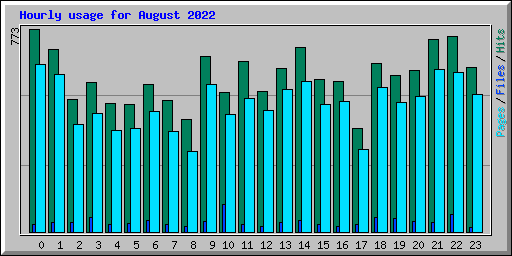 Hourly usage for August 2022