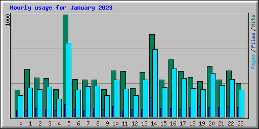 Hourly usage for January 2023