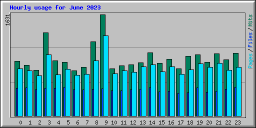 Hourly usage for June 2023