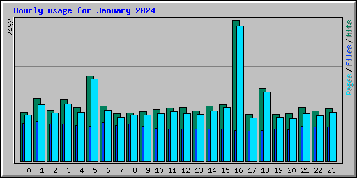 Hourly usage for January 2024