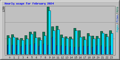 Hourly usage for February 2024