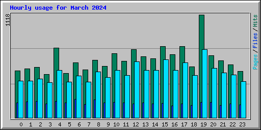 Hourly usage for March 2024