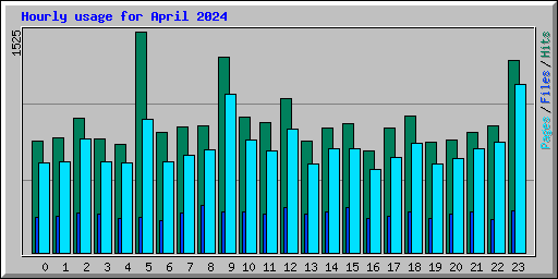 Hourly usage for April 2024