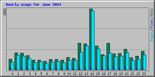 Hourly usage for June 2024
