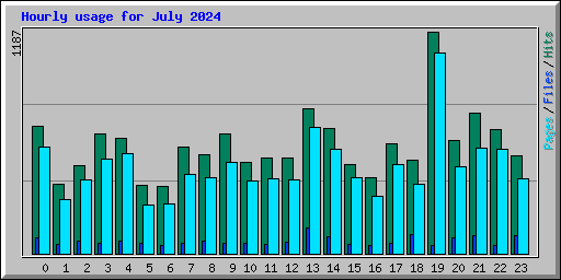 Hourly usage for July 2024