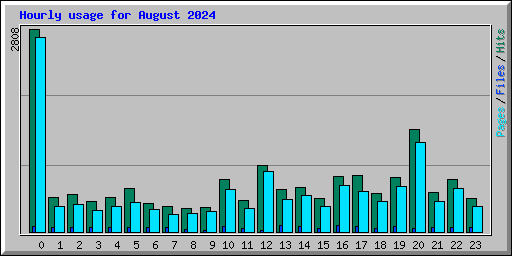 Hourly usage for August 2024