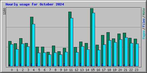 Hourly usage for October 2024