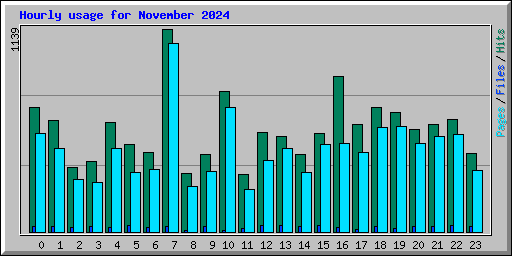Hourly usage for November 2024