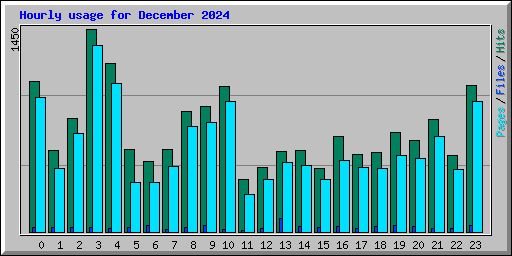 Hourly usage for December 2024