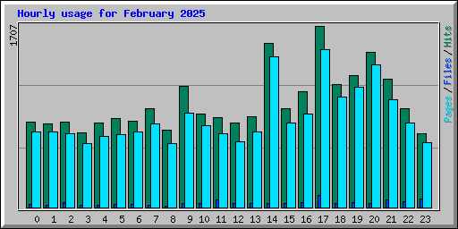 Hourly usage for February 2025