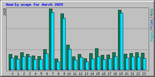 Hourly usage for March 2025