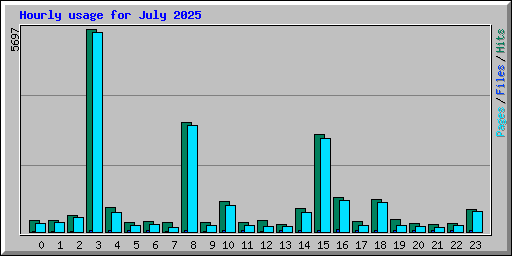 Hourly usage for July 2025