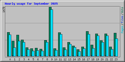 Hourly usage for September 2025