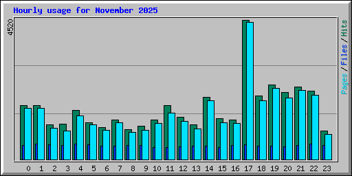 Hourly usage for November 2025