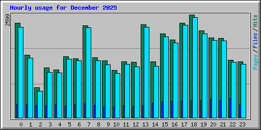Hourly usage for December 2025